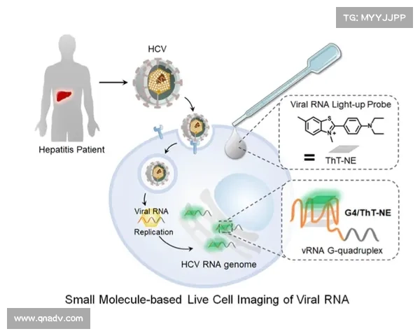 冰虫鳞片在材料科学与生物医学领域的创新应用前景分析与探索 冰虫鳞片在材料科学与生物医学领域的创新应用前景分析与探索
