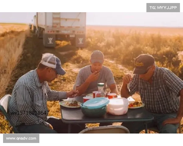 凯南克星的深度解析与应对策略全面指南