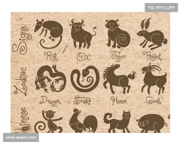 探秘龙之谷生命石蕴含的神秘力量与古老能量之源