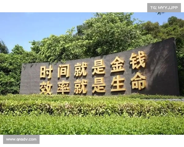 如何高效规划与执行赛季任务以确保全面完成目标